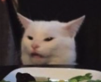 cat confused emoji